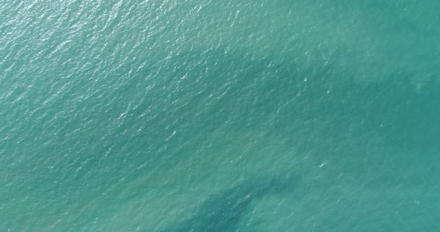 arial_view_speed_sea2
